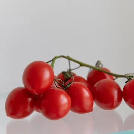 - Posizione Unica Nella Piazza Principale Apartment